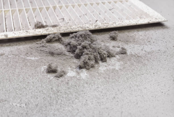 Best HVAC System Cleaning  in Houghton, MI