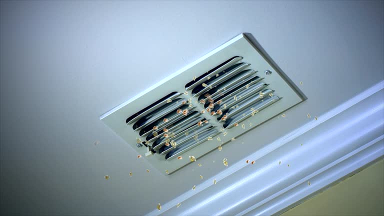 Best General Air Duct Cleaning  in Houghton, MI